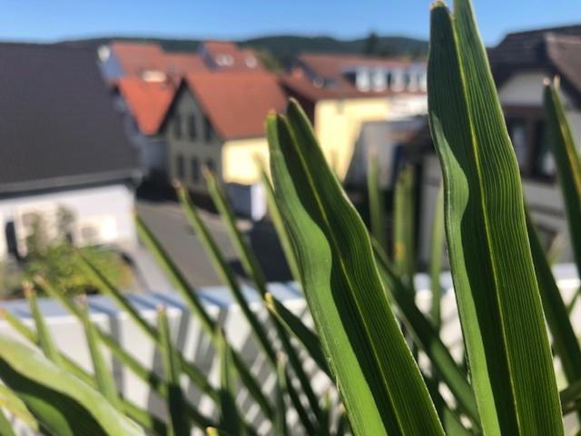 Wohnen Beim Brotsommelier - Alpenkruste Lägenhet Darmstadt Exteriör bild